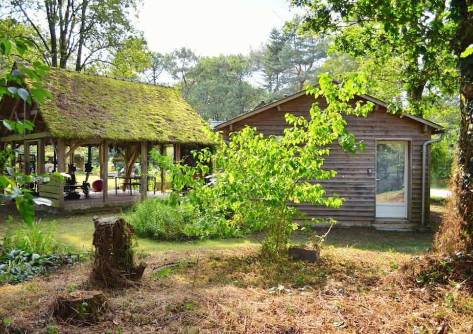 Chalet Cosy Au Coeur De La Foret De Broceliande Beignon Exterior foto